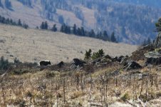 IMG_0139.JPG