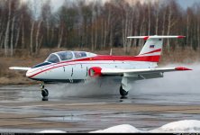 L-29.jpg