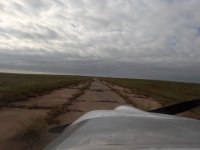 cotton field - 1.jpeg