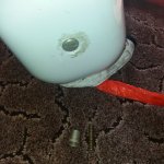 20190528_074947.jpg