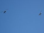 IMG_3832_800x600.JPG