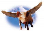 Pigs_fly.jpg