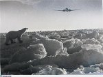 ishka_i_Il-14.JPG