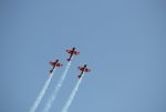 sized_IMG_1818.JPG