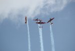 sized_IMG_1833.JPG