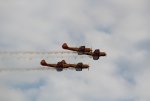 sized_IMG_2077_001.JPG