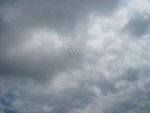 6_189.jpg