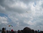 10_125.jpg