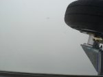 sized_DSC03835.JPG