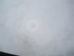 sized_DSC03844.JPG