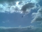 x_bb7b5949.jpg
