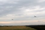 IMG_8319.JPG