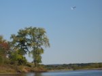 IMG_3770.JPG