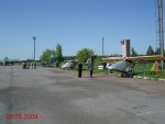 sized_DSC03381.JPG