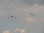 IMG_0928.jpg