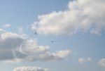 101_001.JPG