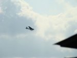 DSC03155.jpg
