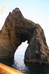 IMG_4429.jpg