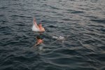 IMG_4432.jpg