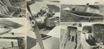 sized_J-1_Przasniczka_2.JPG