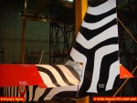 001-sky_jeep_VONs_Zebra_CH701__11_.JPG