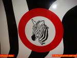 001-sky_jeep_VONs_Zebra_CH701__7_.JPG