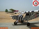 VONsZEBRA-UAQ-UAE-010.JPG