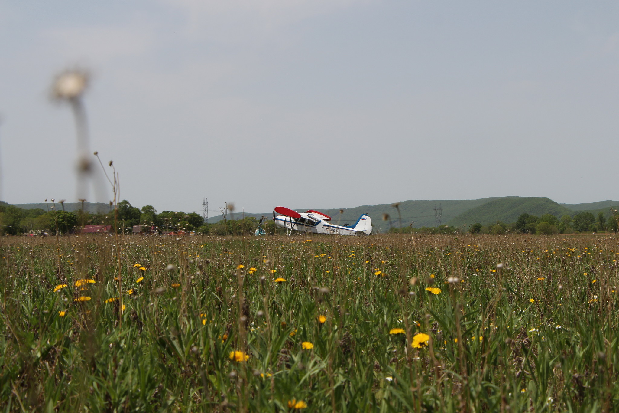 h-2546.jpg