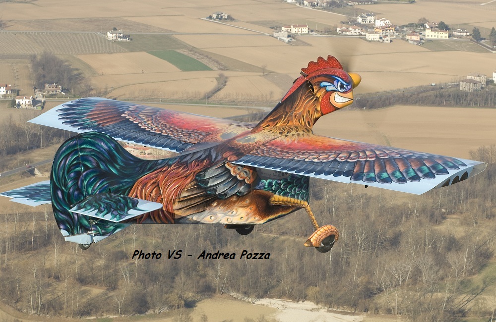 gallo2s.jpg