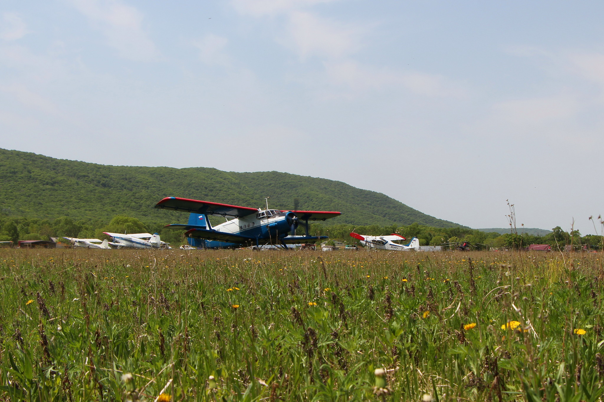 h-2549.jpg