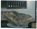 S72-36954.jpg