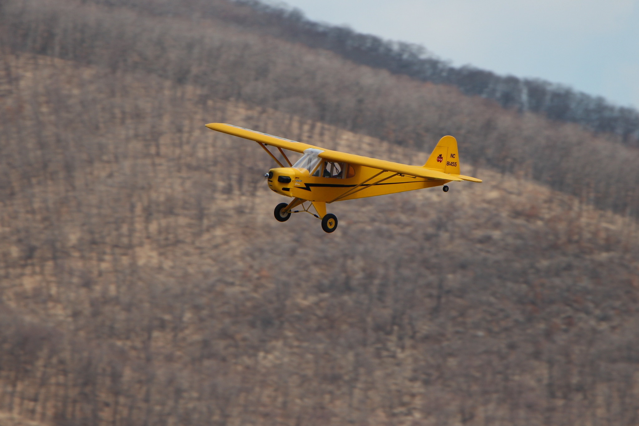 h-2351.jpg