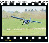 9899095.gif