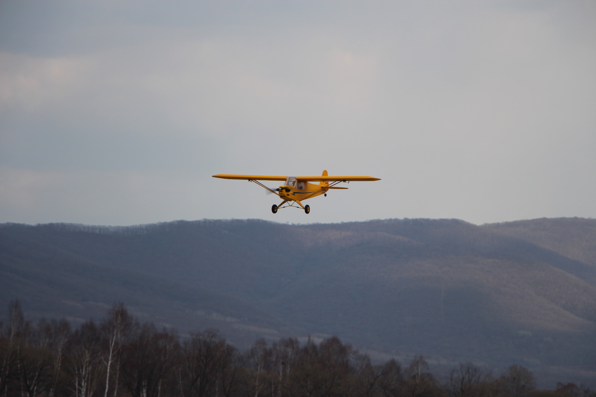 h-2415.jpg
