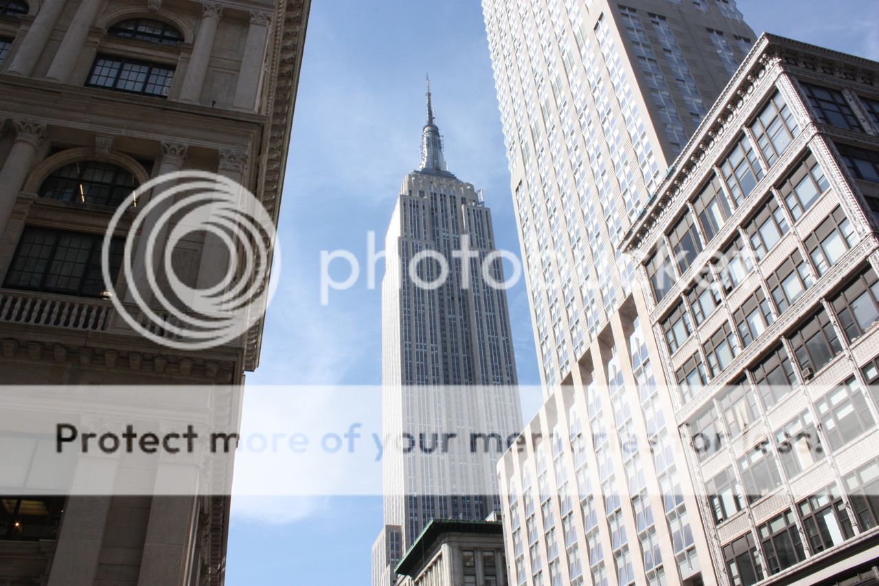 ESB1.jpg
