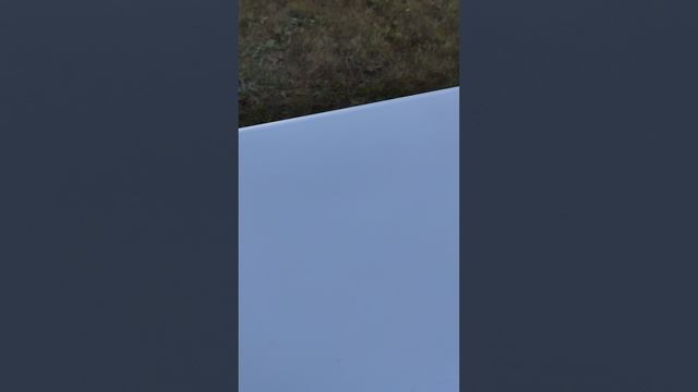 rutube.ru