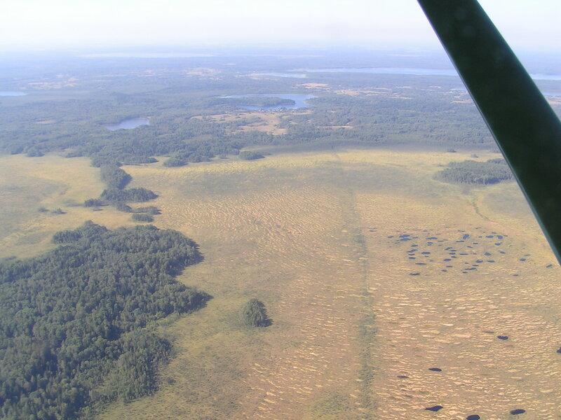 0_56750_b61e814e_XL.jpg