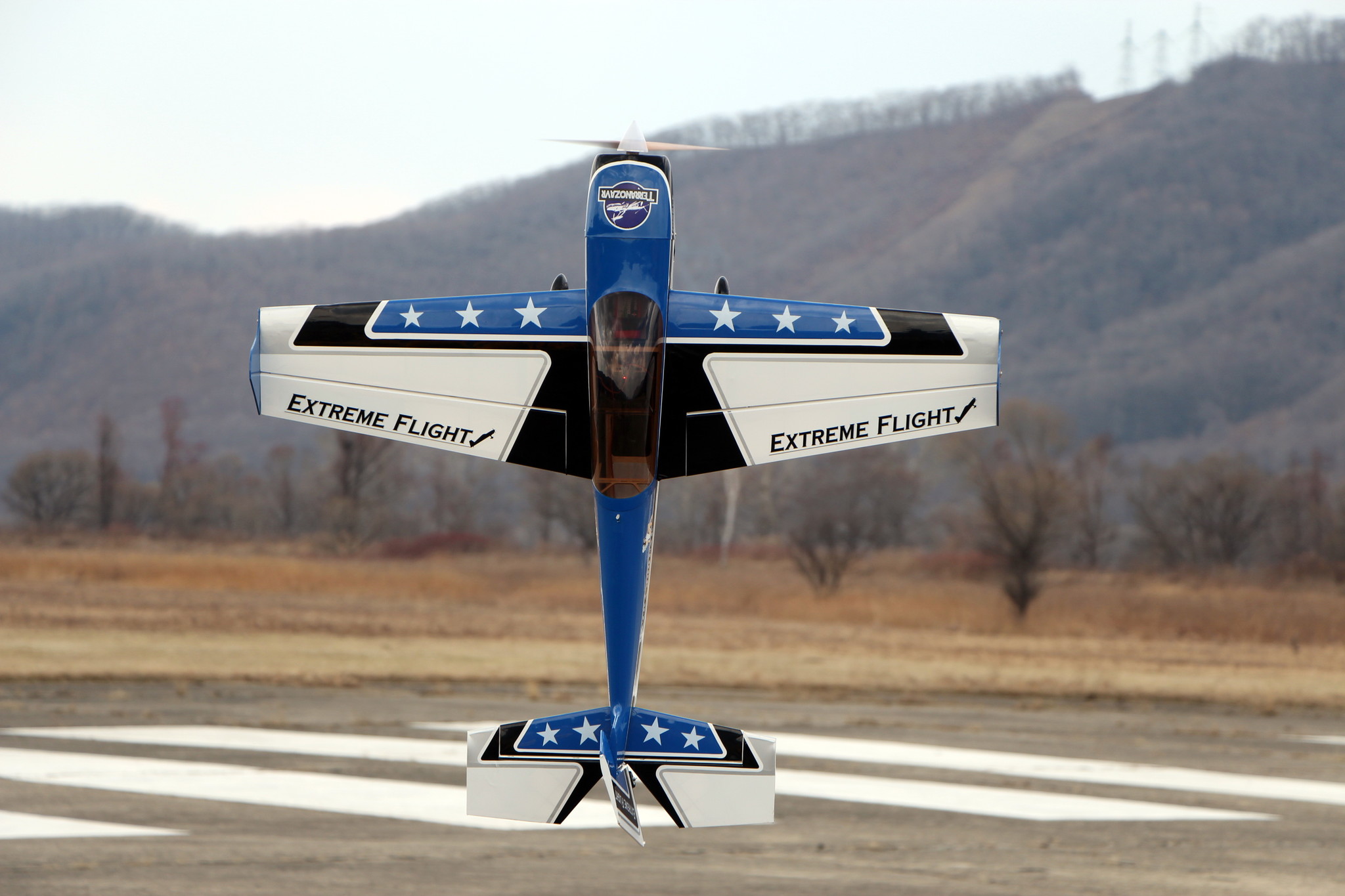 h-2331.jpg