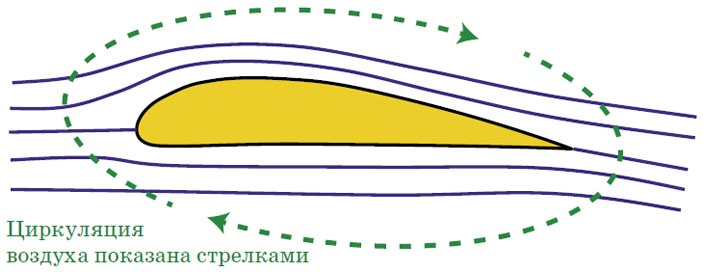 elementy.ru