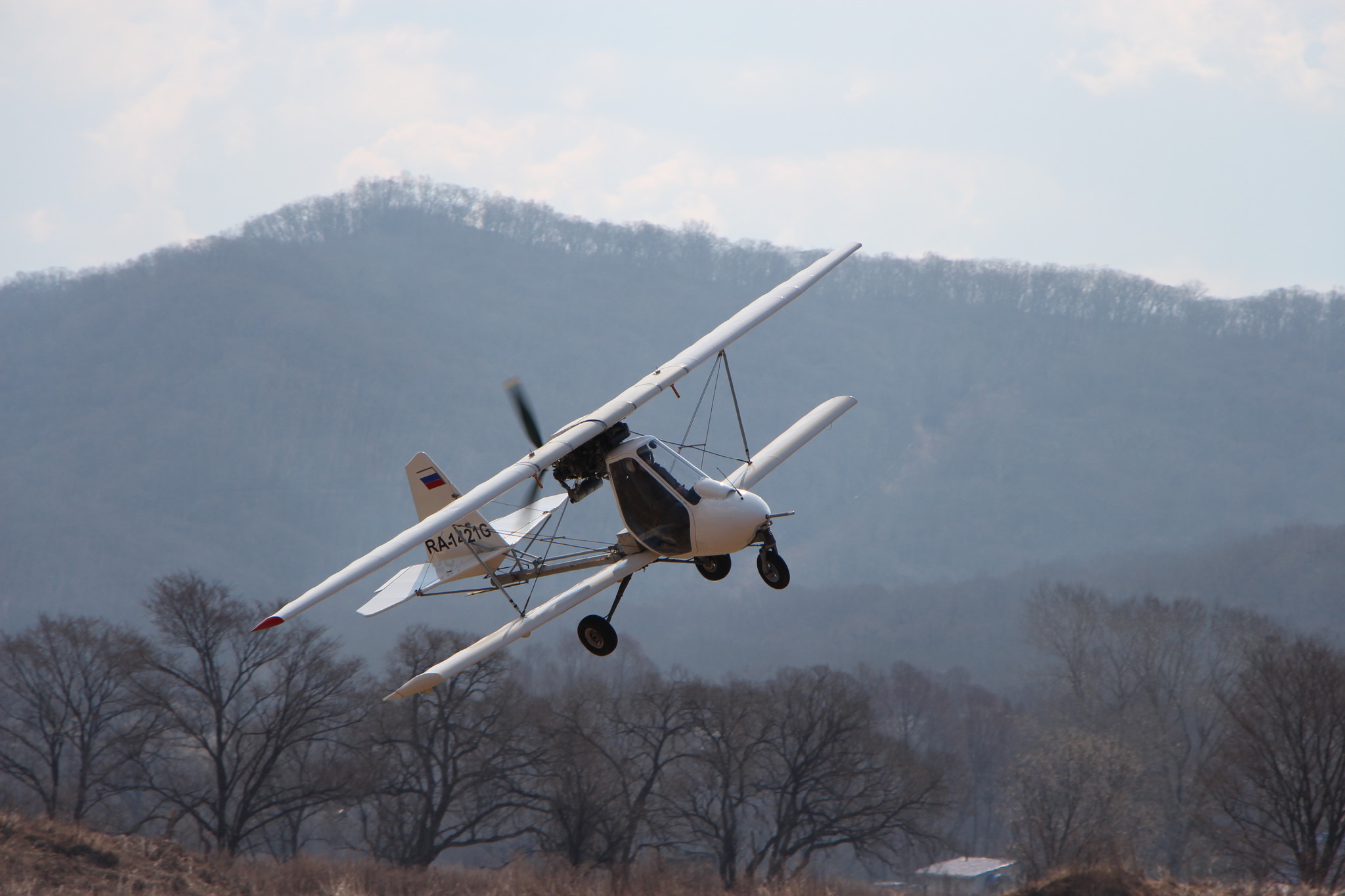 h-2391.jpg