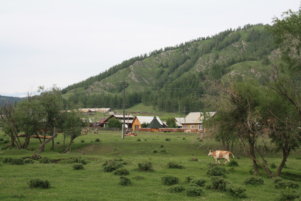 117R.JPG
