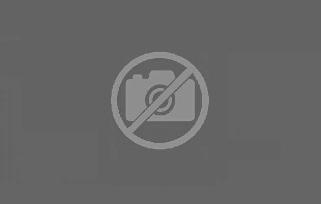 lngnews.ru