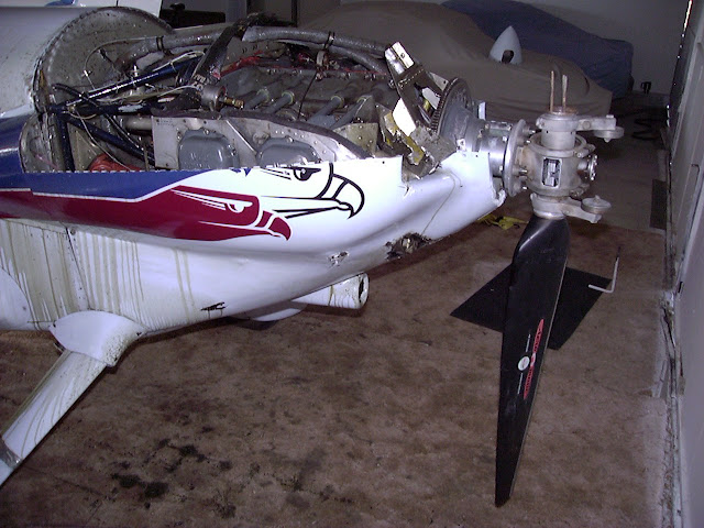 P1000421.JPG