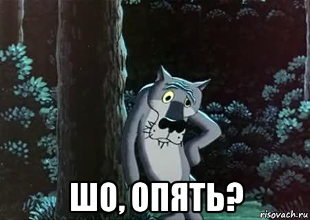 volk_108888227_orig_.jpg