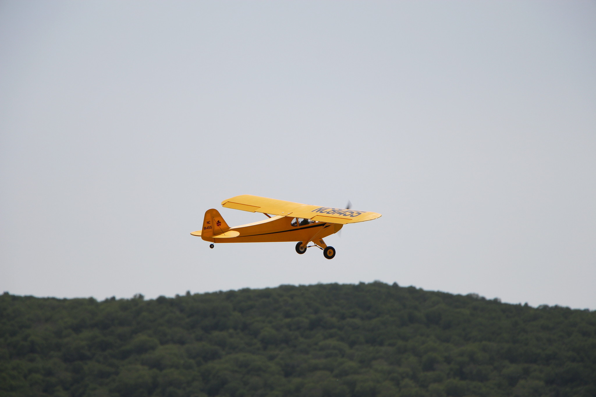 h-2565.jpg