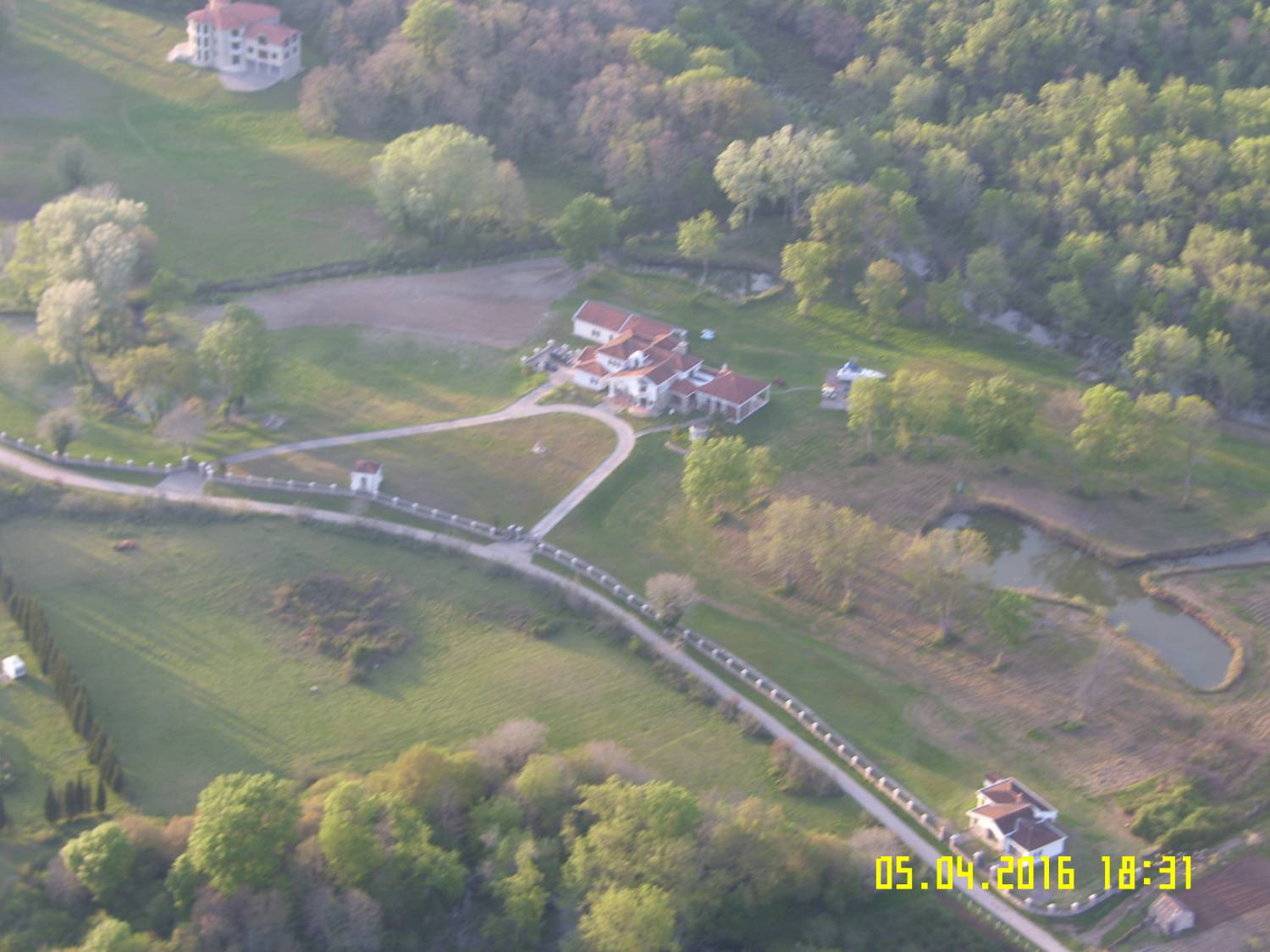 7146374.jpg