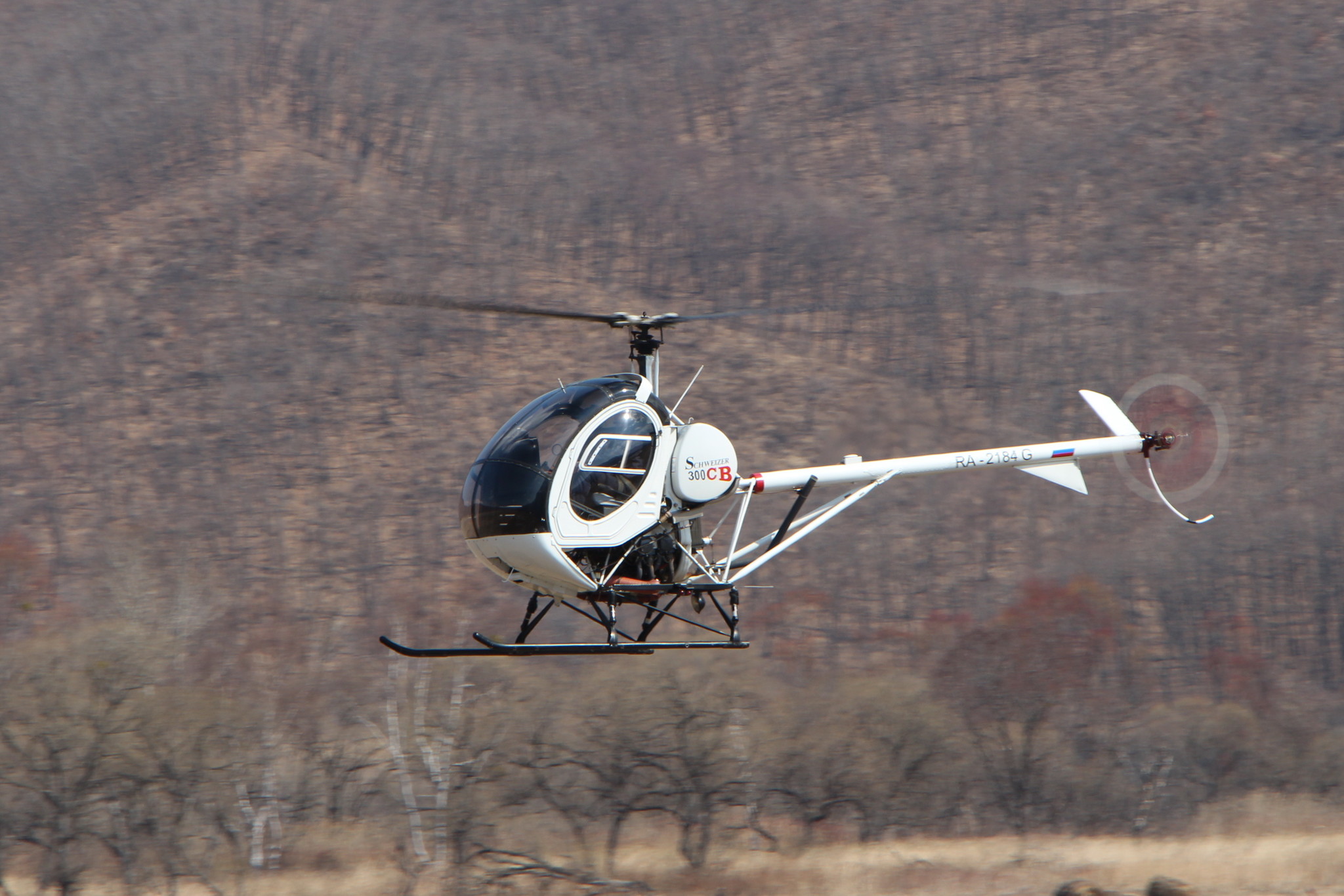 h-2406.jpg