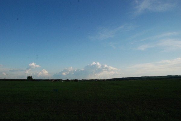 i-524.jpg