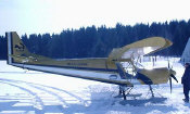 griffin-701copy1_small.jpg