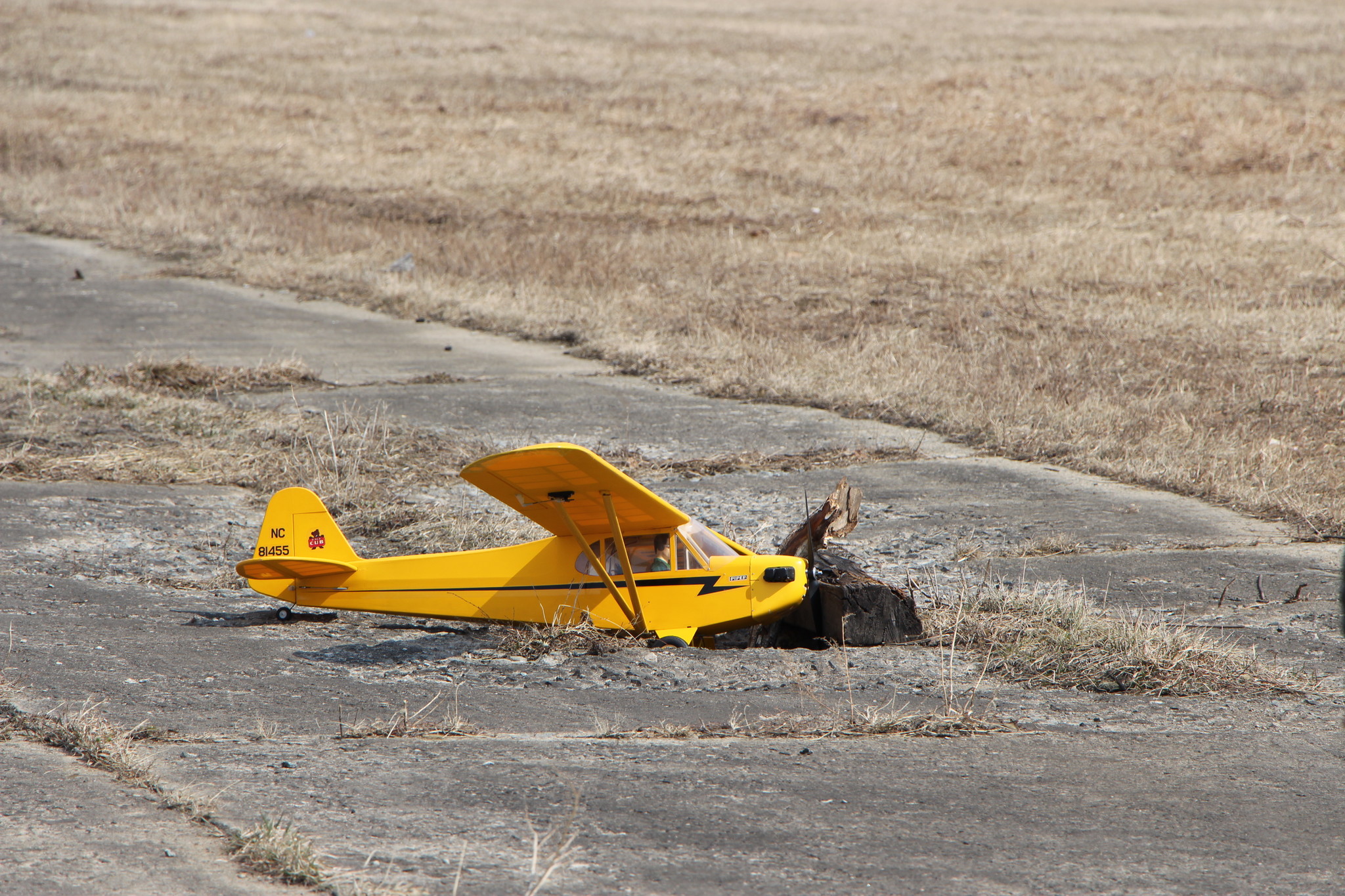 h-2414.jpg